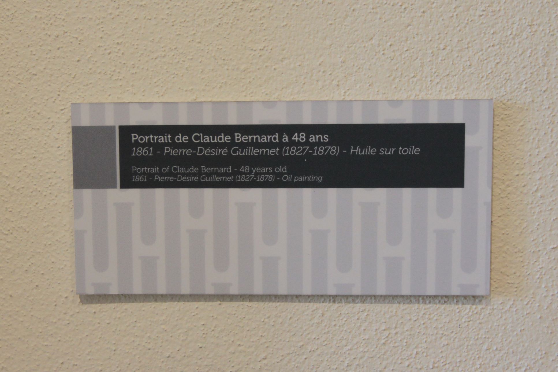 Claude Bernard à 48 ans by Pierre-Désireé Guillemet (1861), Claude Bernard's home-museum, Saint-Julien - 2.JPG